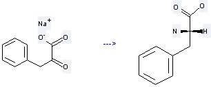 Benzenepropanoic acid, a-oxo-, sodium salt (1:1) is used to produce L-phenylalanine.